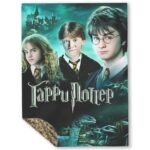 Плед двухсторонний Гарри Поттер, размер 200х150см,